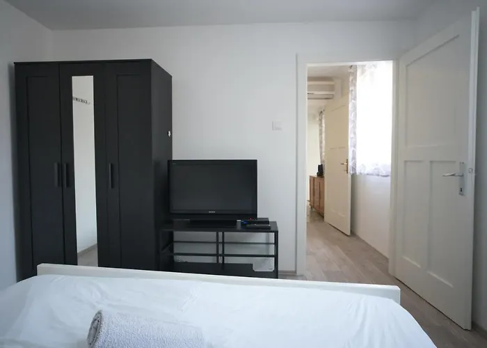 Apartment Fly